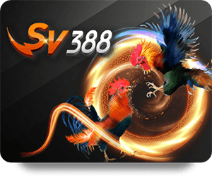 เคล็ดลับการชนะใน K9Win สล็อต สำหรับผู้เล่นใหม่